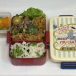 娘の今日のお弁当260413