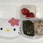 娘の今日のお弁当260509