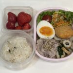 娘の悩ましい今日のお弁当260601